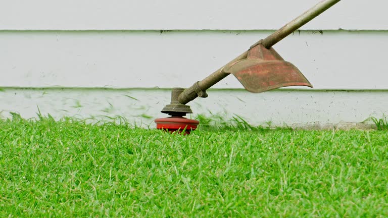 Mulching Services in Peralta, NM